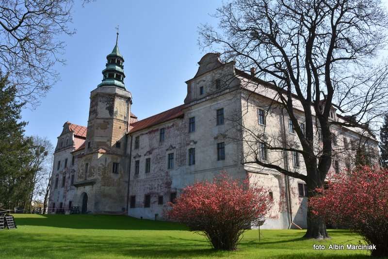 Zamek w Niemodlinie 7