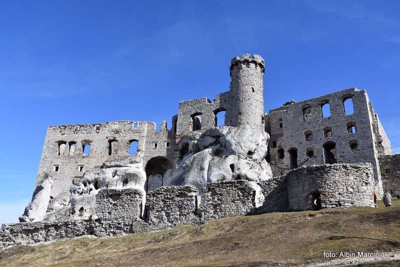 Zamek Ogrodzieniec 44