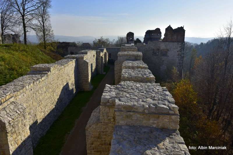 Zamek Tenczyn w Rudnie 25