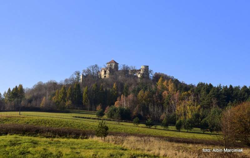 Zamek Tenczyn w Rudnie 36