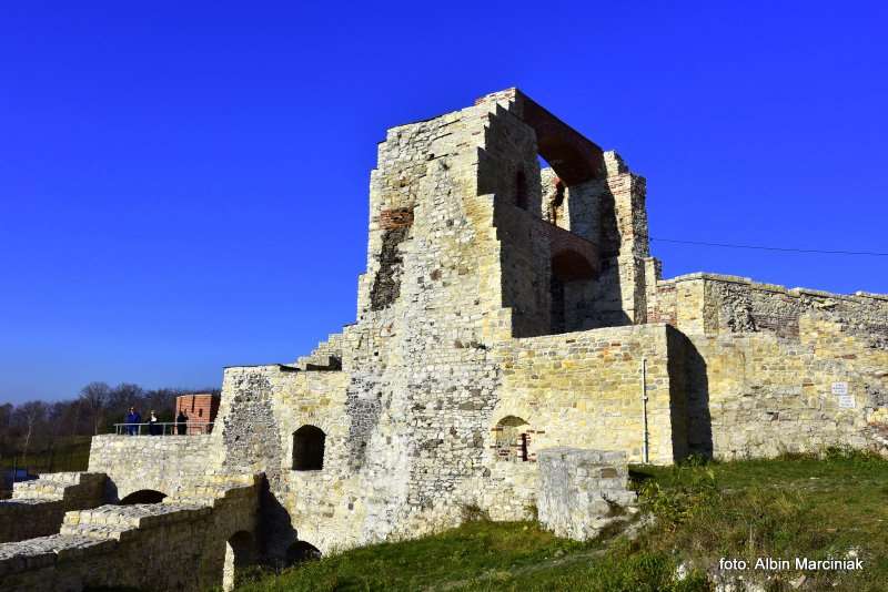 Zamek Tenczyn w Rudnie 7