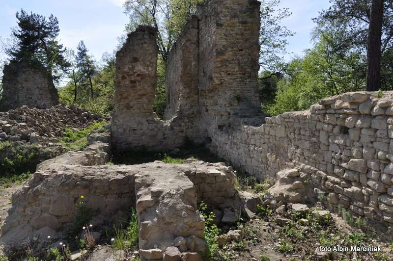 Zamek Zawiszy w Rożnowie 14