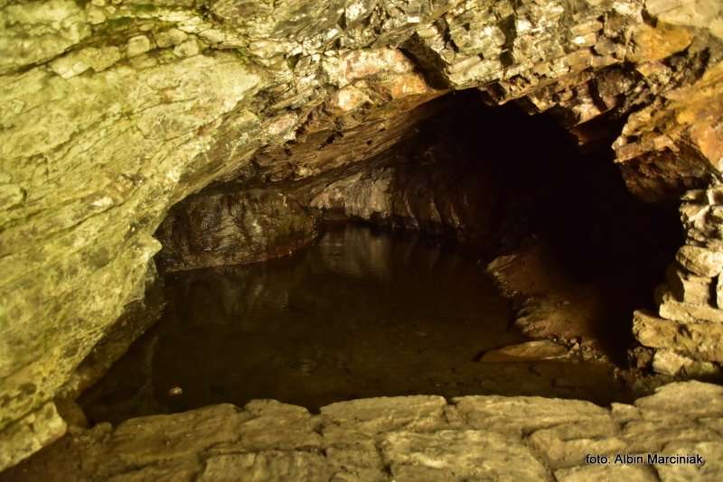 Zamek na Skale w Trzebieszowicach 16
