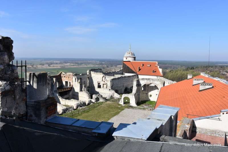 Zamek Janowiec wiosna 2019 foto Albin Marciniak 203