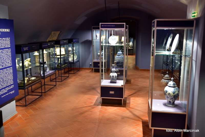 Zamek Janowiec wiosna 2019 foto Albin Marciniak 276