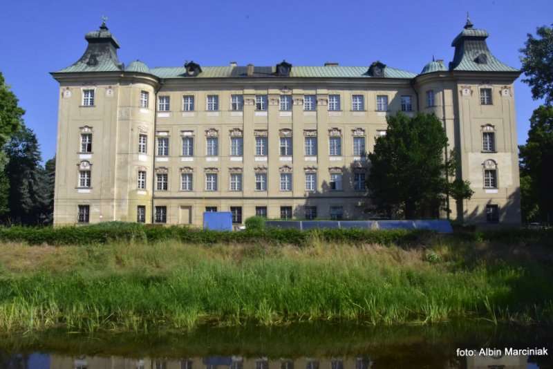Zamek w Rydzynie Wielkopolska 10
