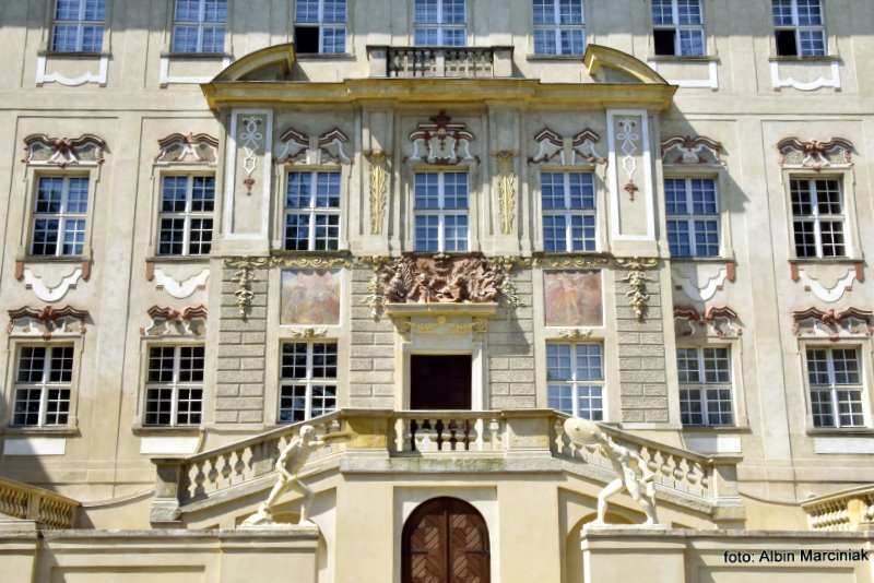 Zamek w Rydzynie Wielkopolska 29