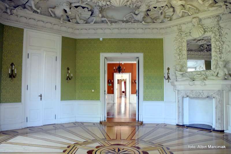 Zamek w Rydzynie wnetrza Wielkopolska 11