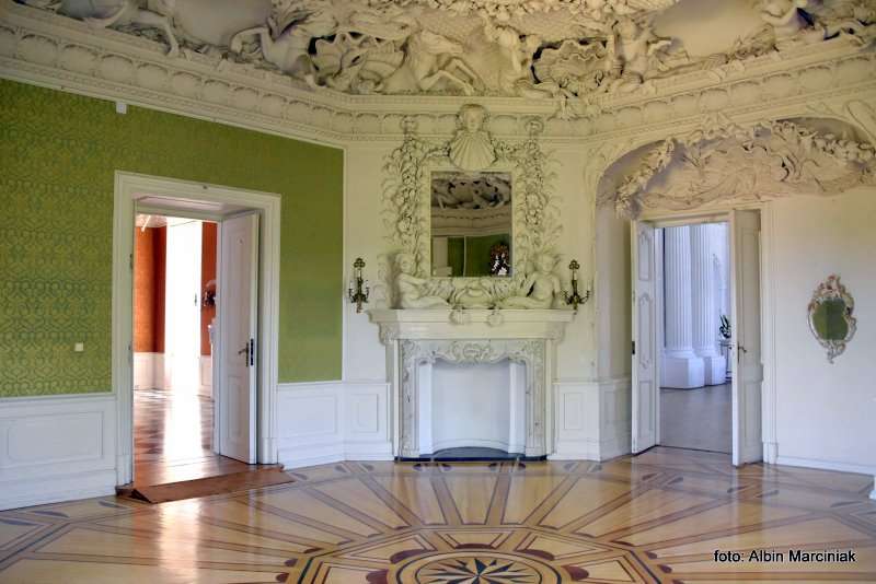 Zamek w Rydzynie wnetrza Wielkopolska 13