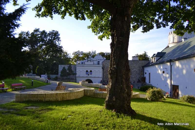  Zamek Kazimierzowski w Przemyślu 19