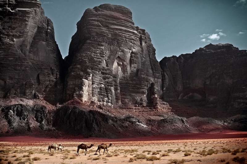 217A Krzysztof  Czech