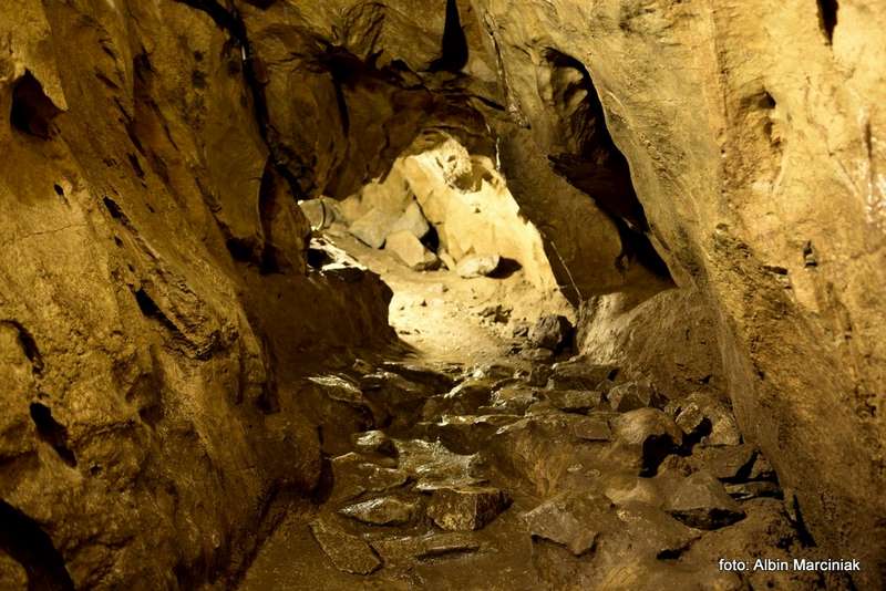 19 Jaskinia Mrozna 19