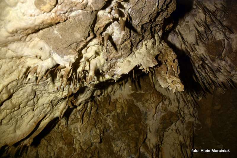 Jaskinia Raj Chęciny 6 stycznia 2019 15