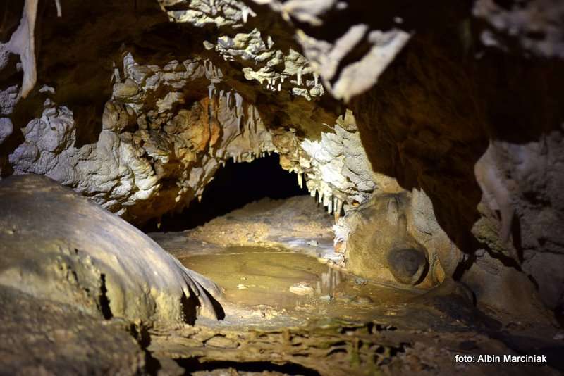 Jaskinia Raj Chęciny 6 stycznia 2019 38