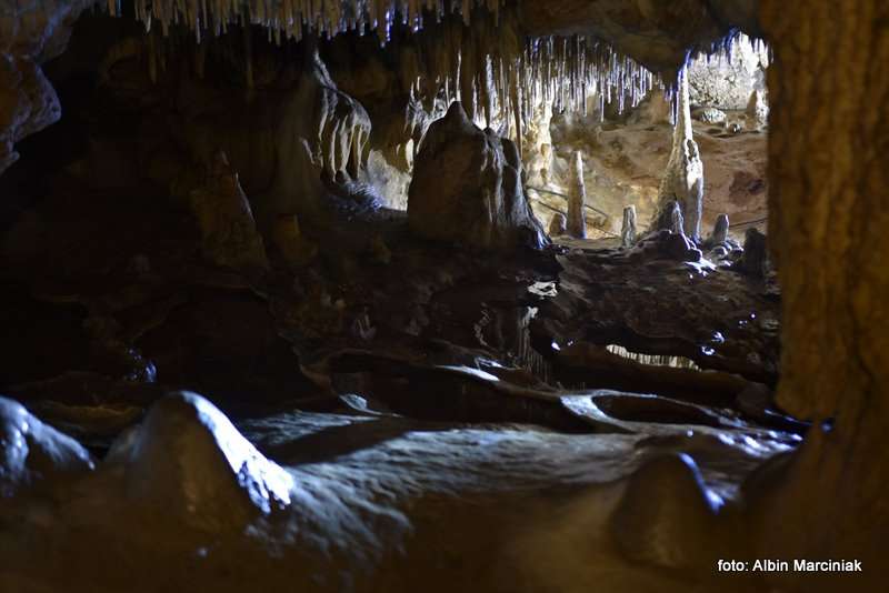 Jaskinia Raj Chęciny 6 stycznia 2019 39