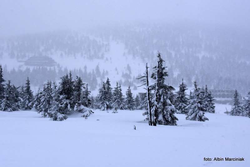 Karkonosze GSS zima 12