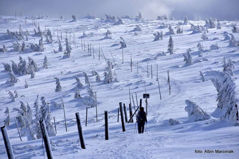 Karkonosze GSS zima 23