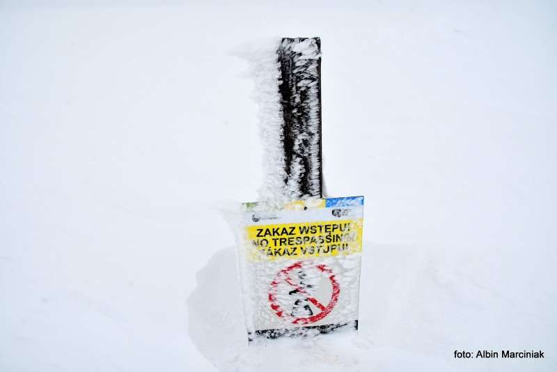 Karkonosze GSS zima 5