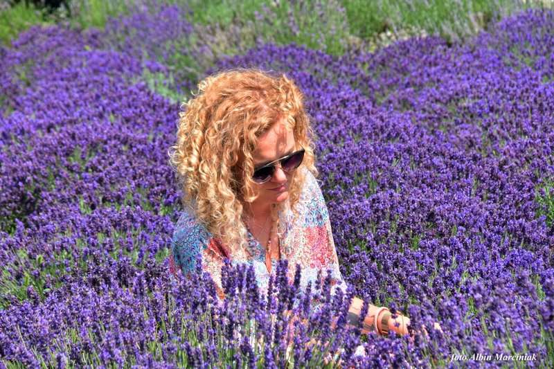 Tuczyno Lawendowa Kraina 1