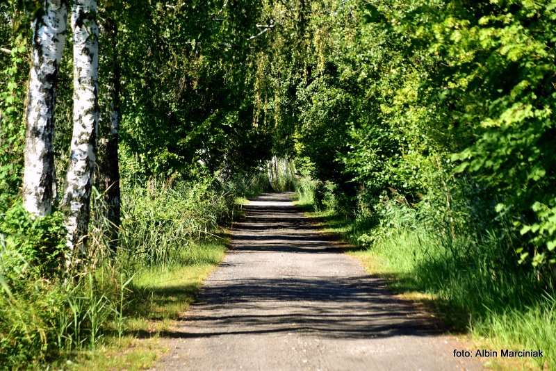 Milicz i Dolina Baryczy Stawy Milickie 19