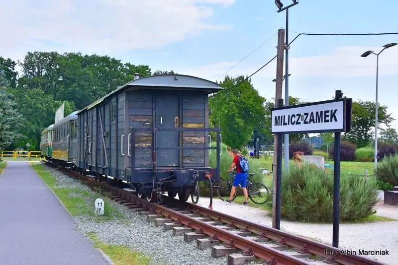 Milicz i Dolina Baryczy Stawy Milickie 29