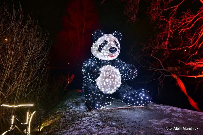 Ogrody Światła Magiczna Podróż w Zamku Topacz 16