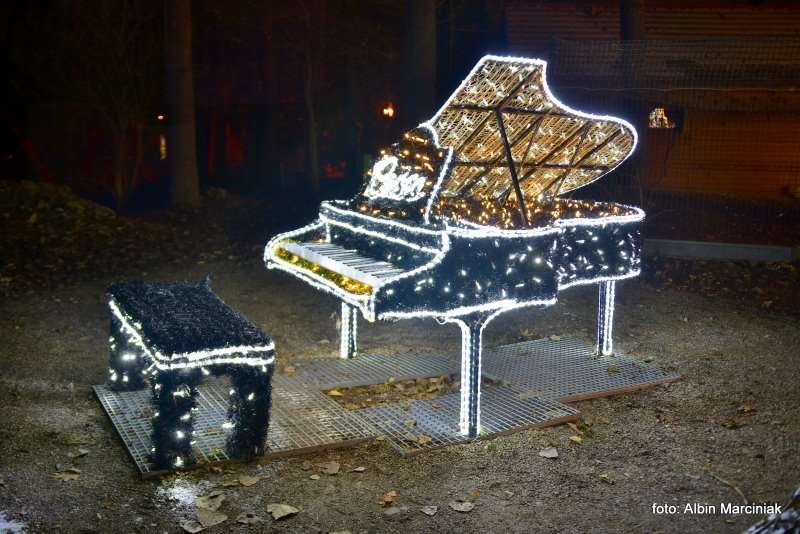 Ogrody Światła Magiczna Podróż w Zamku Topacz 23