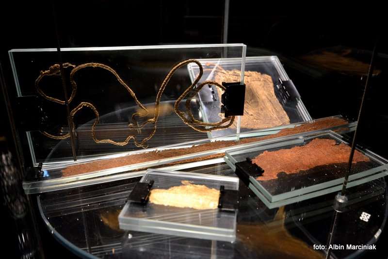 Podziemia Rynku w Krakowie 9