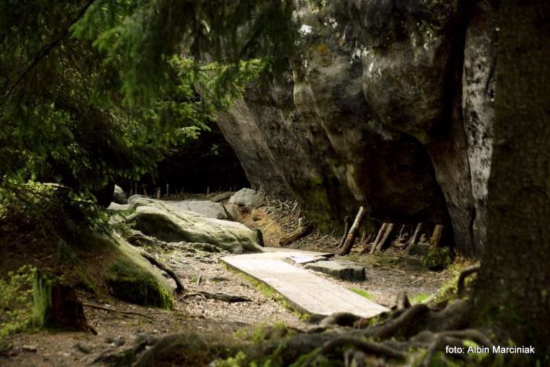 Szczeliniec Wielki 15