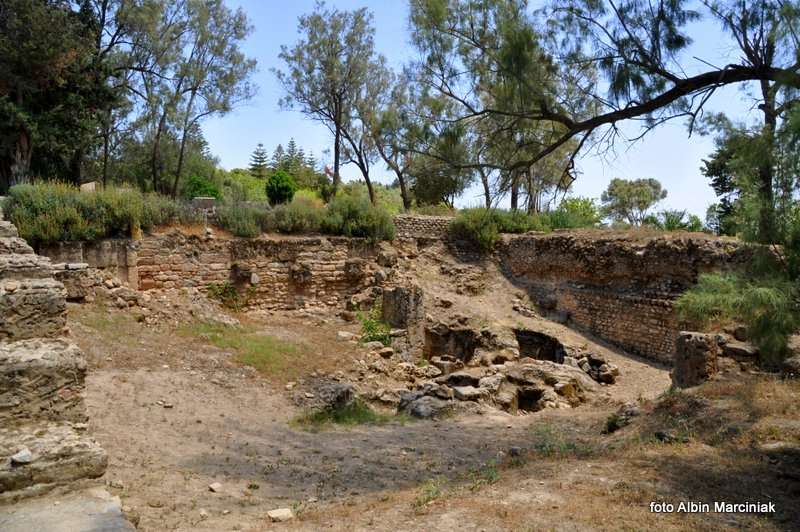 Termy Antoniusza w Tunezji Tunis 3