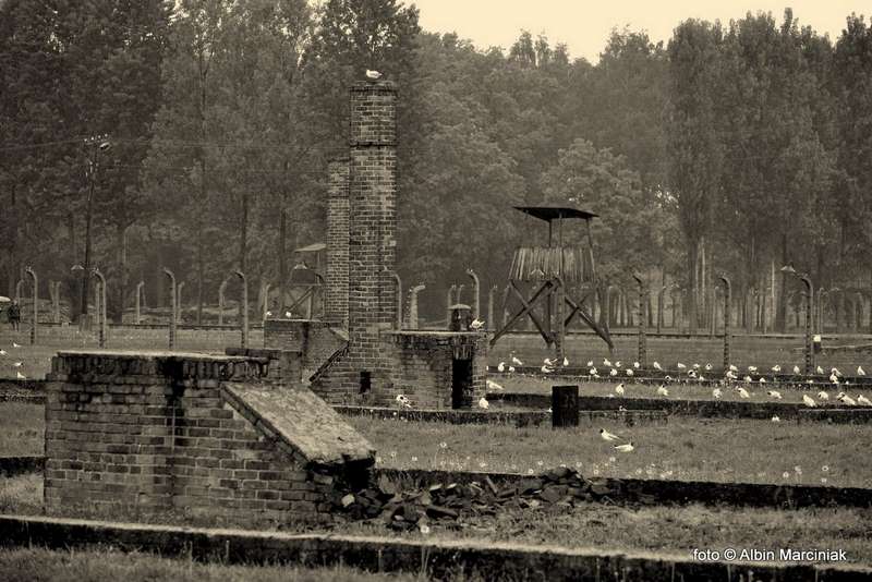 http://www.klubpodroznikow.com/images/stories/relacje/auschwitz-birkenau/DSC_1319.JPG