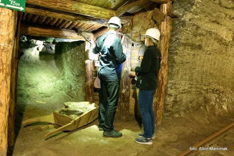Kopalnia Soli Bochnia 17