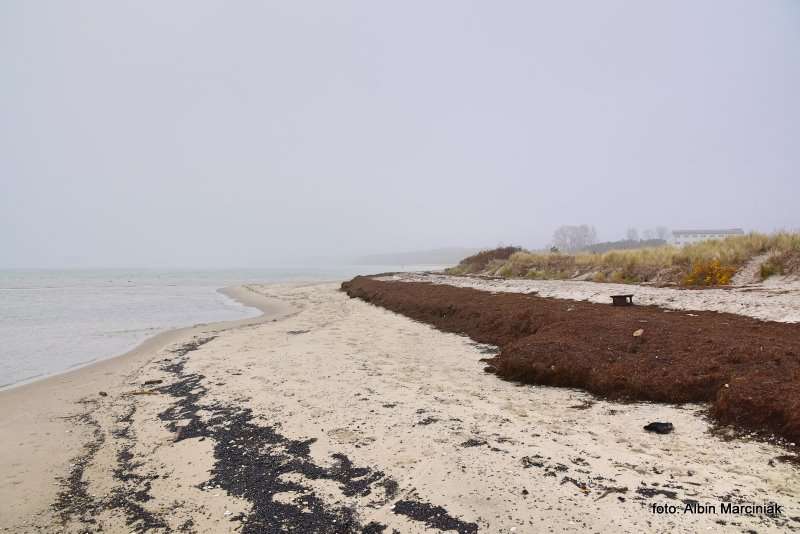 Wrak statku ORP Wicher II oraz ORP Grom II na Helu 12