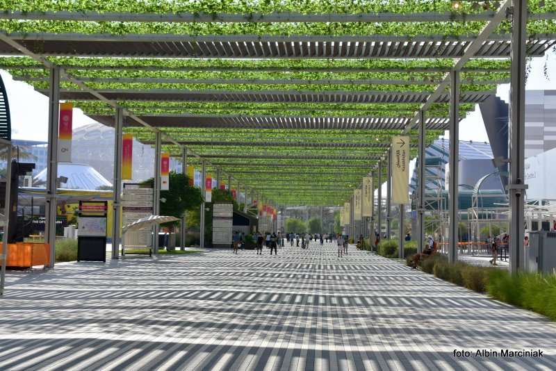 Dubai Expo 2020 in Dubai United Arab Emirates 41